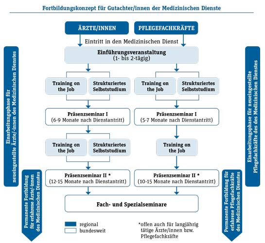 Schaubild der Einarbeitung von Gutachterinnen und Gutachtern